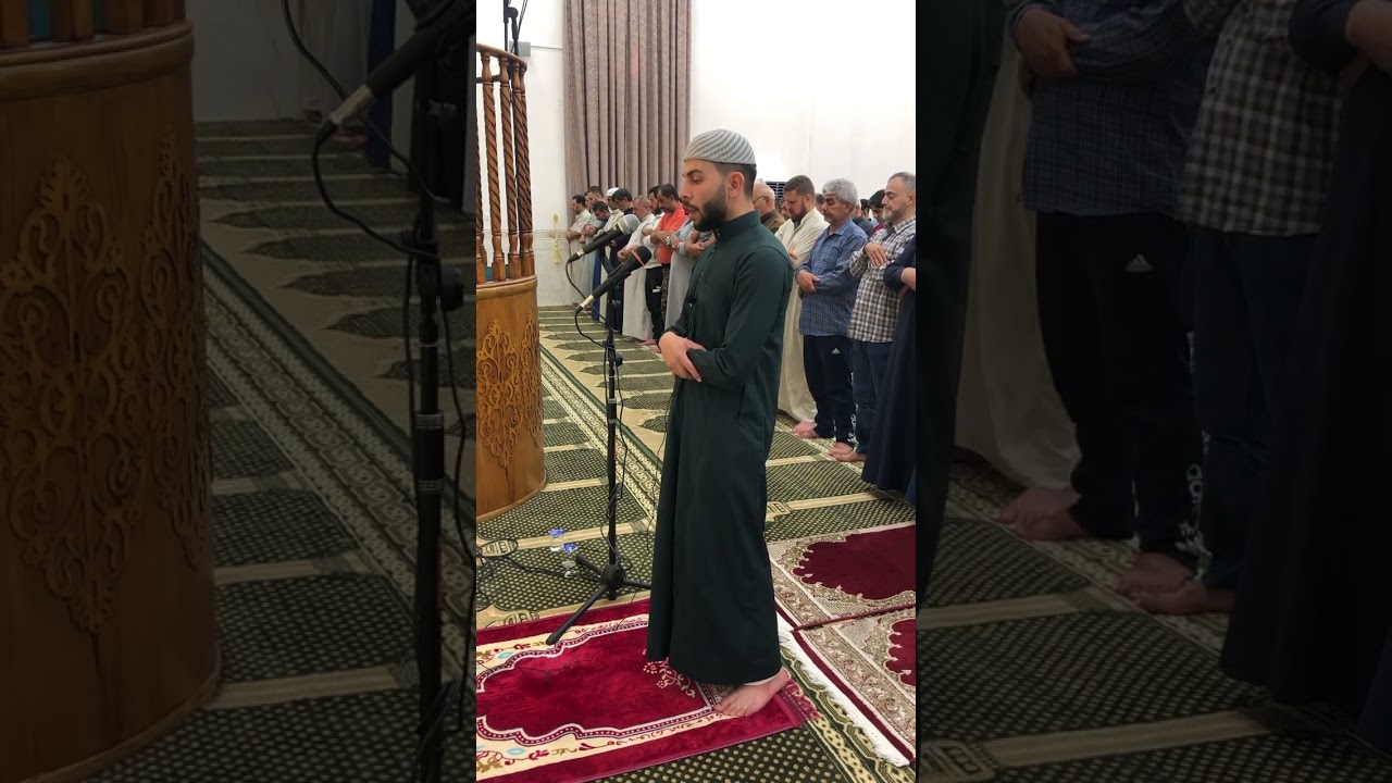 ما تيسر من سورة الزمر بأداء مميز / القارئ زيد الدليمي