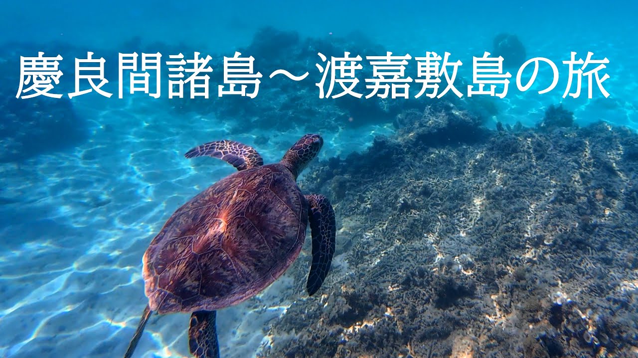 2025 慶良間諸島～渡嘉敷島の旅〜宿・阿波連ビーチ・阿波連展望台　4kドローン空撮　水中映像