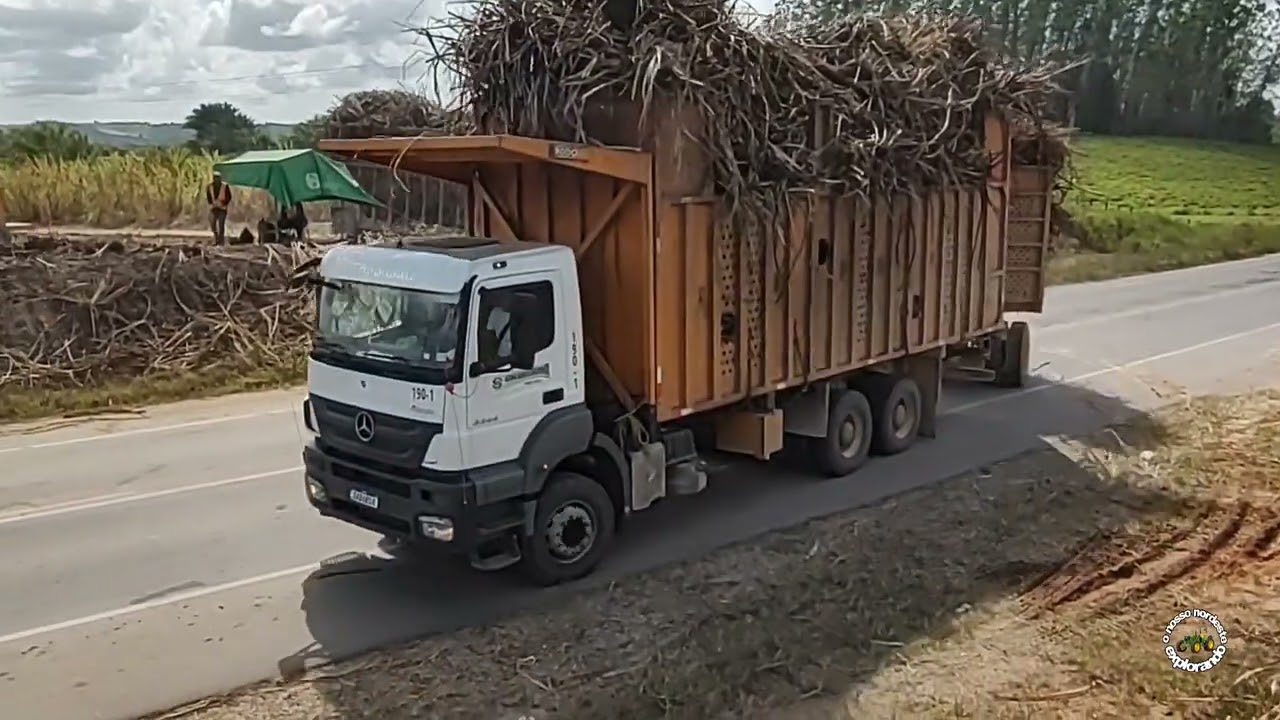 MOVIMENTAÇÃO NO CANAVIAL NA FAZENDA SANTA JUSTINA!!