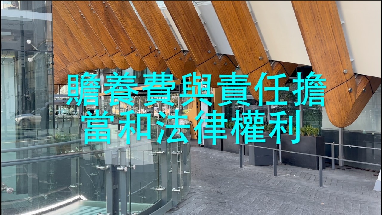 昂貴律師費難負擔，多看多讀法律書保護自己。   HD 1080p
