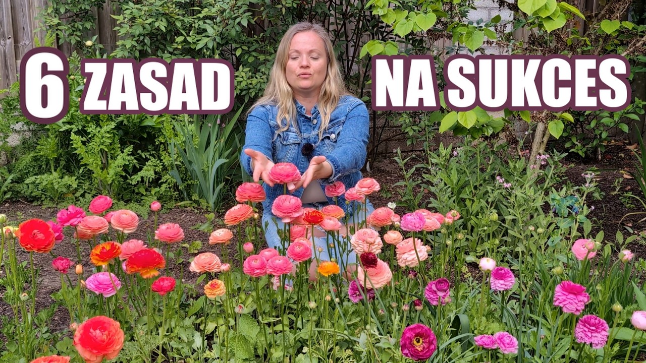 Jaskry w moim ogrodzie: co działa, a co nie🌸 zero teorii sama praktyka