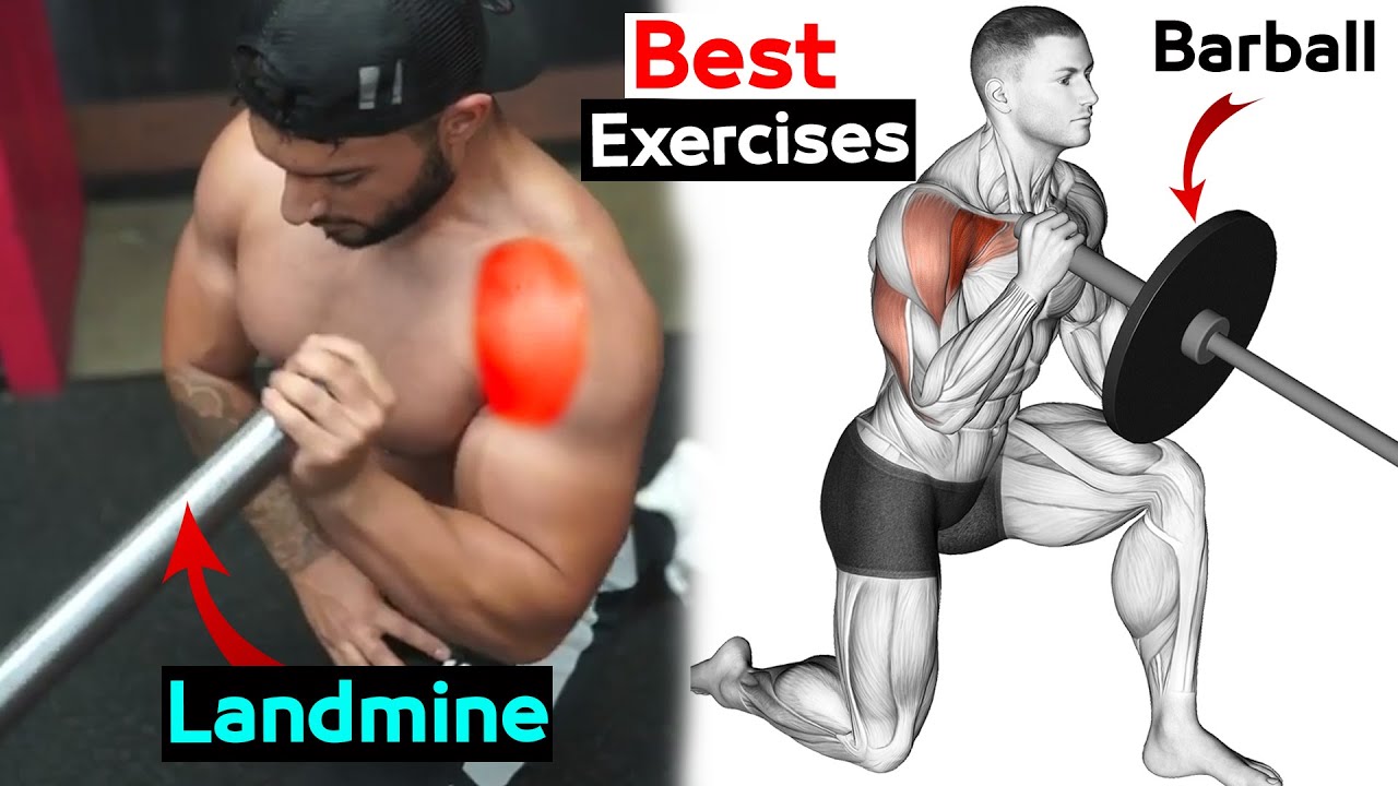 Best Landmine Exercises WORKOUT