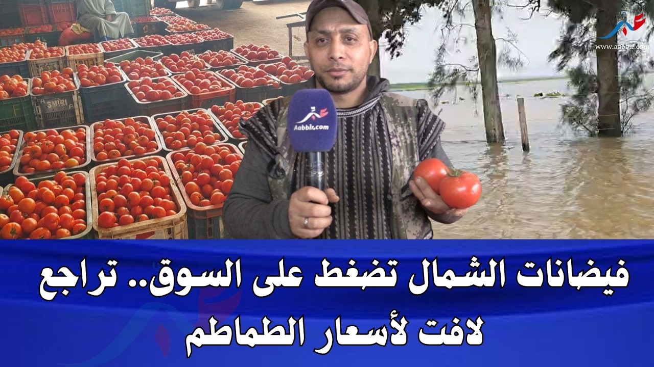 الشتا والفيضانات فالشمال هبطو ثمن الطماطم فـسوق الجملة بإنزكان ايام قليلة قبل رمضان