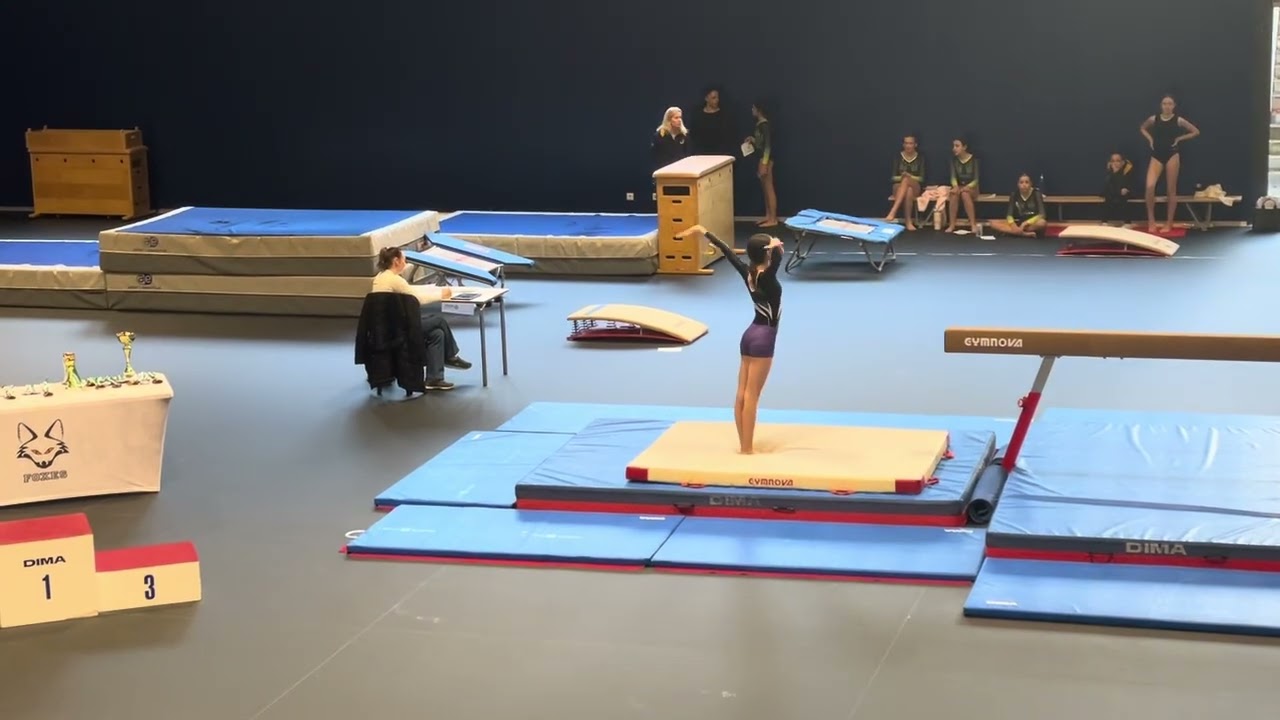 Vault routine I’m in the back 