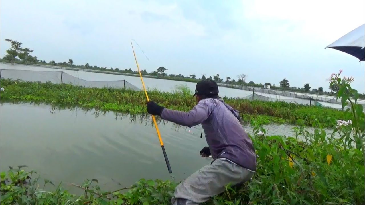 Ini Bener² Markas Nya!! Coba² mancing sebelah sini malah dihajar babon semua