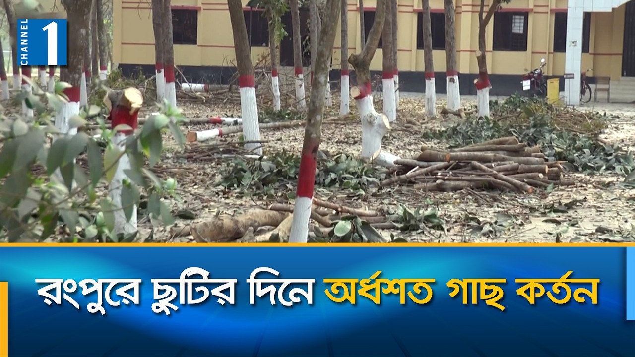 ঈদগাহ মাঠ নির্মাণে গাছ কাটায় রোকেয়া বিশ্ববিদ্যালয়ের শিক্ষার্থীদের ক্ষোভ | Channel One News