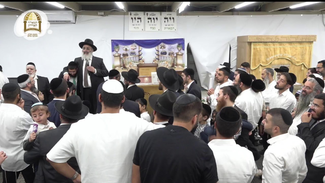 שידור חי מסוכת המאיר לארץ | שמחת בית השואבה עם מו