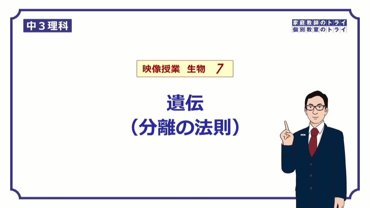 【中３　理科　生物】　遺伝(分離の法則)　（１１分）