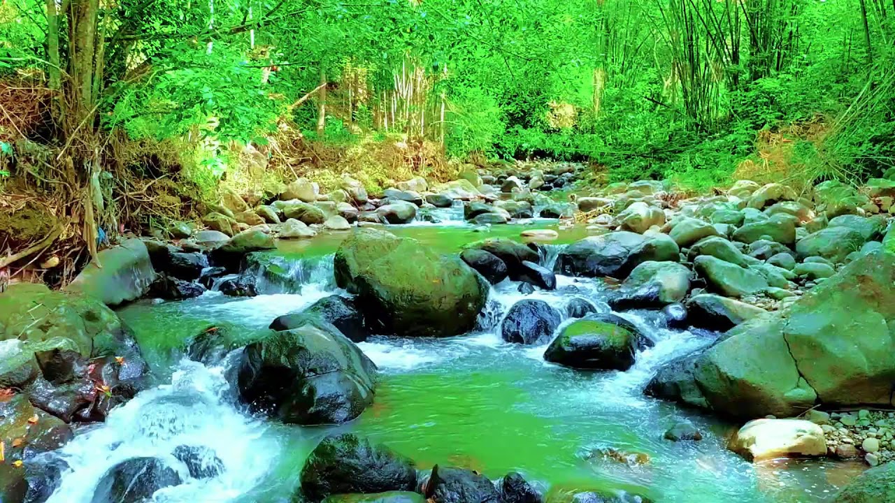 Relaxing River Nature Sounds for Study, Focus, and Better Sleep