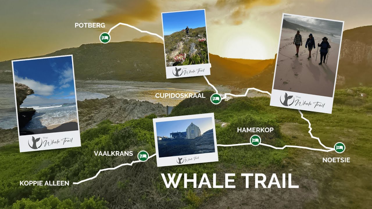 Hiking The Whale Trail - Western Cape  - South Africa