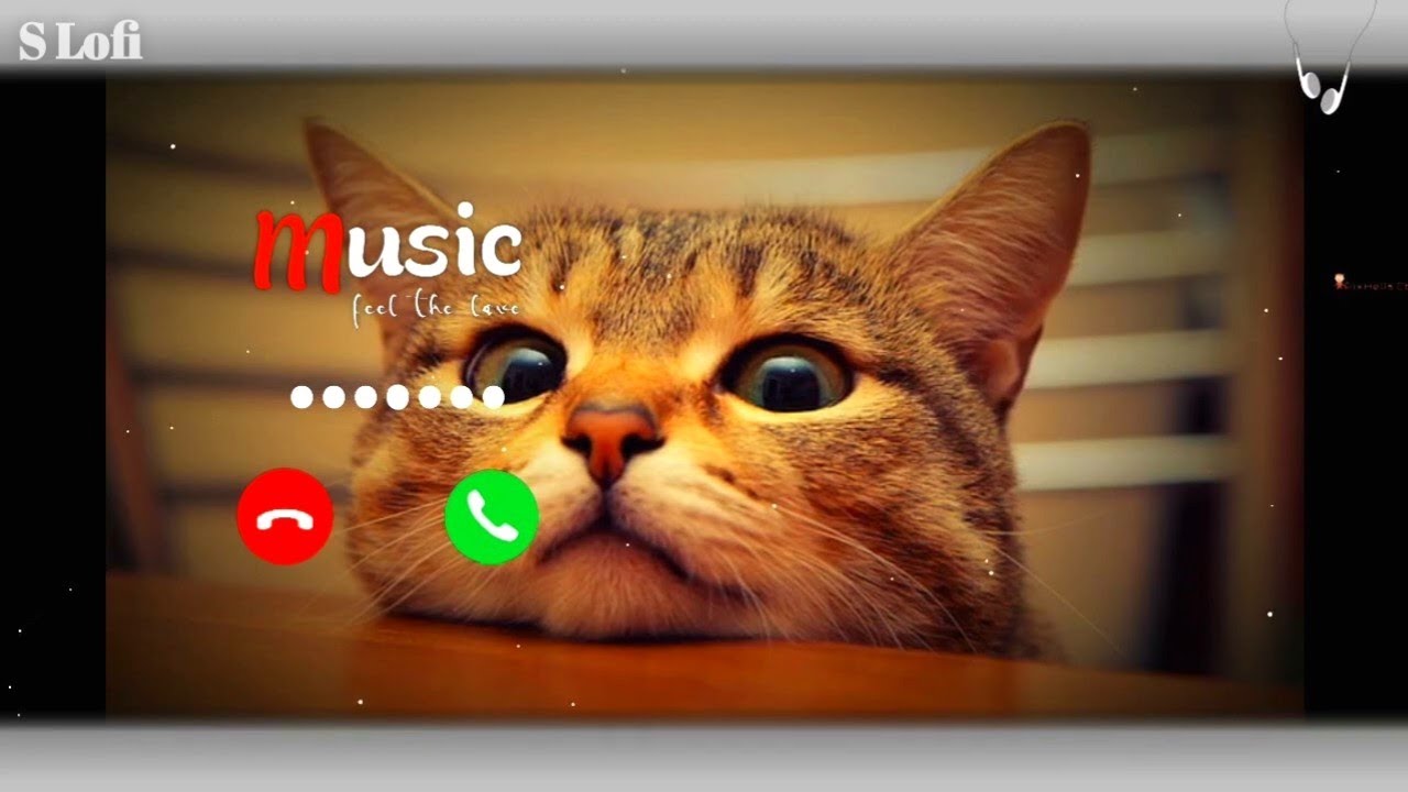 SMS RINGTONE PHONE || NOTIFICATION RINGTONE | MOBILE RINGTONE | VIRAL RINGTONE