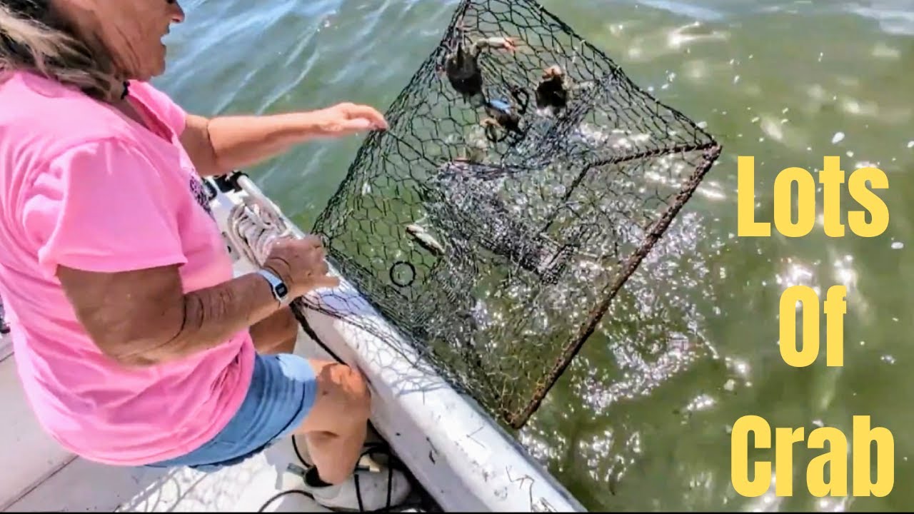 We Caught A Lot Of Crab