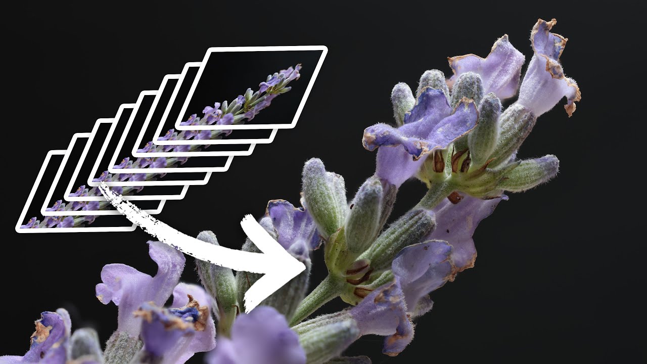 J'ai pris 50 PHOTOS pour ça ! FOCUS STACKING 100% de NETTETÉ (tuto photo focus stacking)