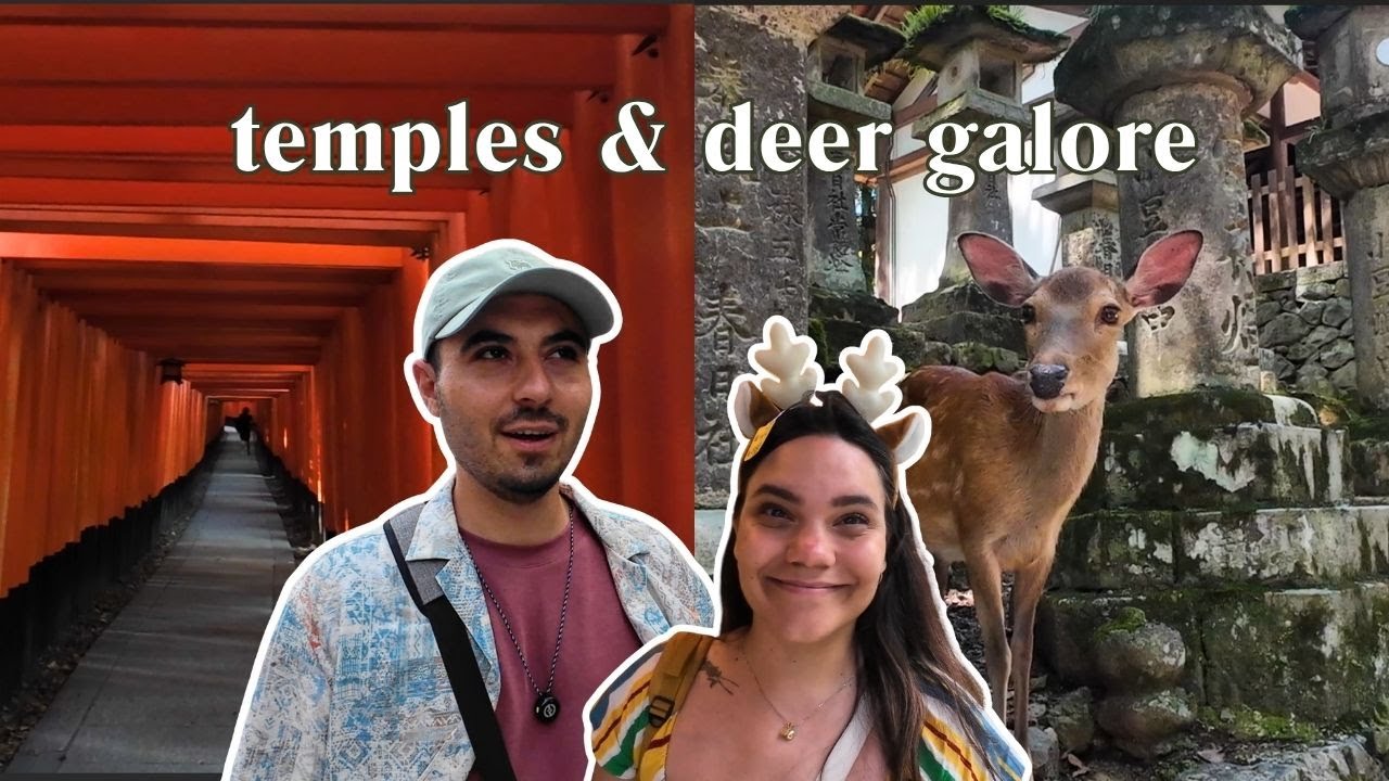 Kyoto & Nara Vlog: Thousand Torii Gates, Japanese Kindness & Adorable Deer