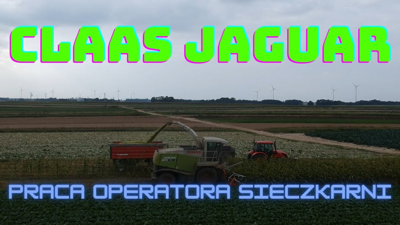 CLAAS JAGUAR OPINIA I PRACA OPERATORA SIECZKARNI