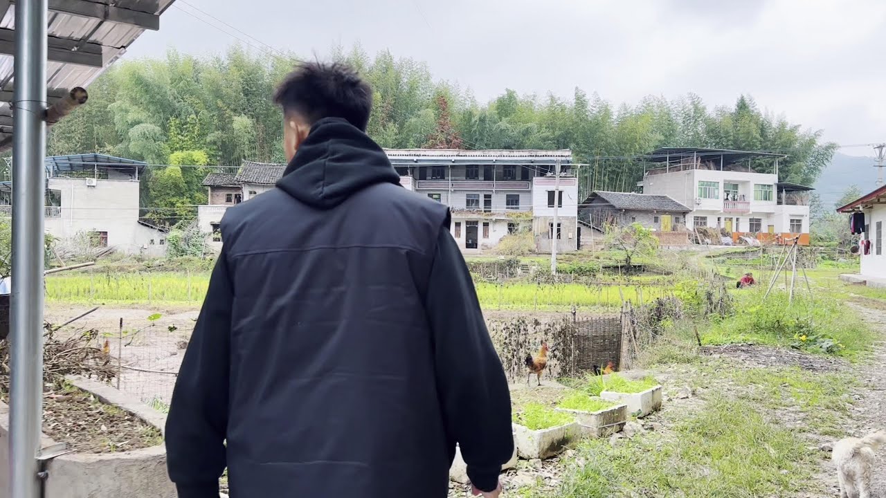 老爸给奶奶剪指甲，小谭下厨做饭，还煮了红苕稀饭，温馨的一家人 ##我的乡村生活 #人间烟火