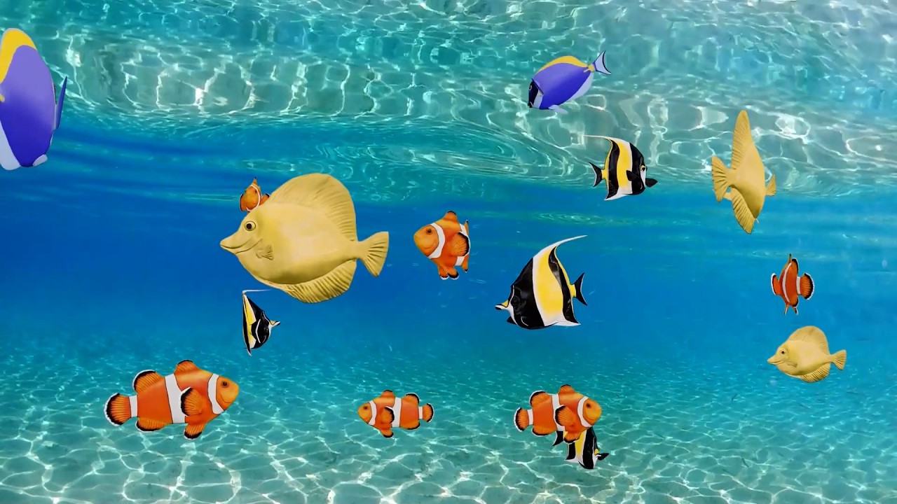 CAT TV 😻 FISHES COMPILATION 🐠 Game for cats with 3D Sound 🫧🔔 Cat's Playing Machine