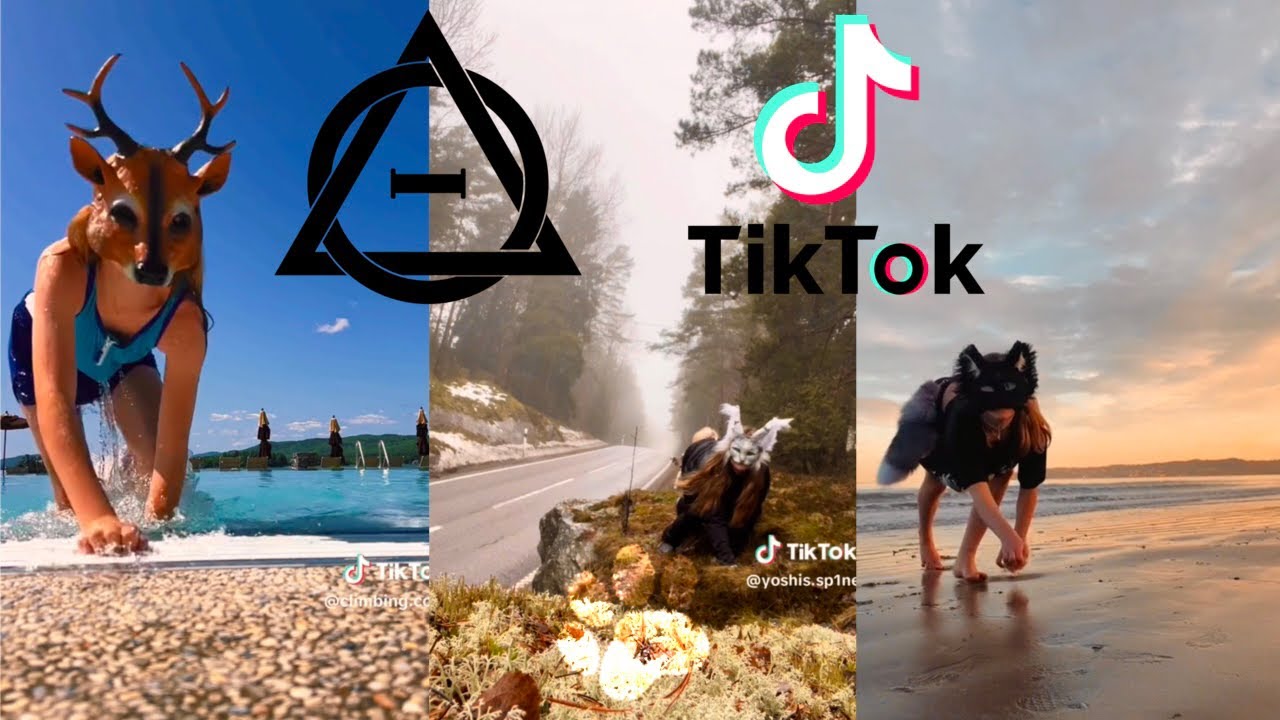 Therian and Quadrobics TikToks || Compilation 🐾🪱🪲|| Alterhumans of TikTok #83