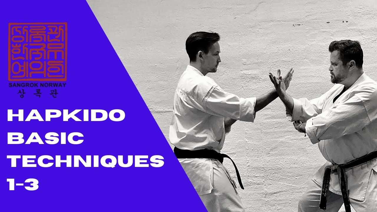 Sangrok Hapkido Basic Techniques 1-3 | FREE Martial Arts Lesson