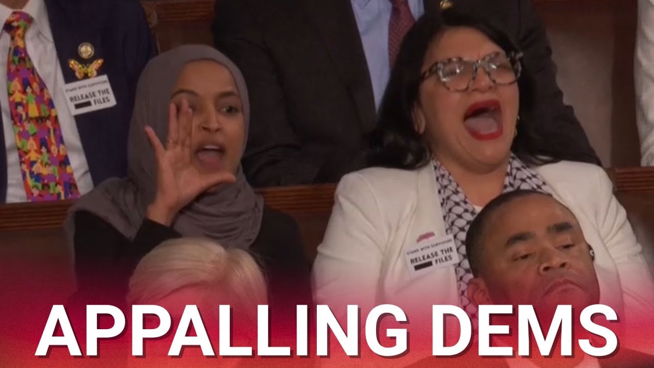 John Fetterman slams Democrats for ‘yelling, screaming and holdings signs’ during SOTU