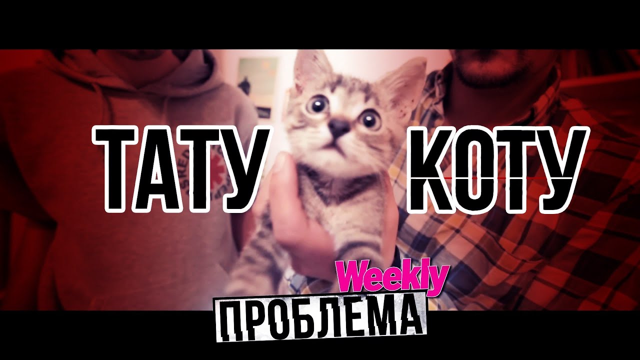 ПРОБЛЕМА Weekly - ТАТУ КОТУ
