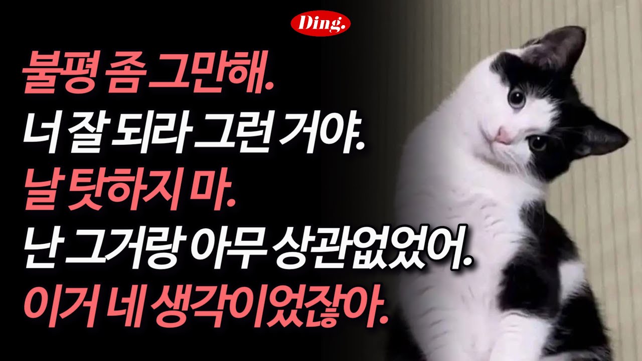 너 잘 되라고 그러는 거야 | 영어 새벽배송 531-535
