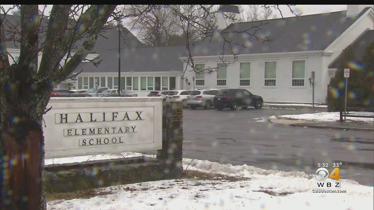 Peace Flags Removed From Halifax Classroom After Complaints