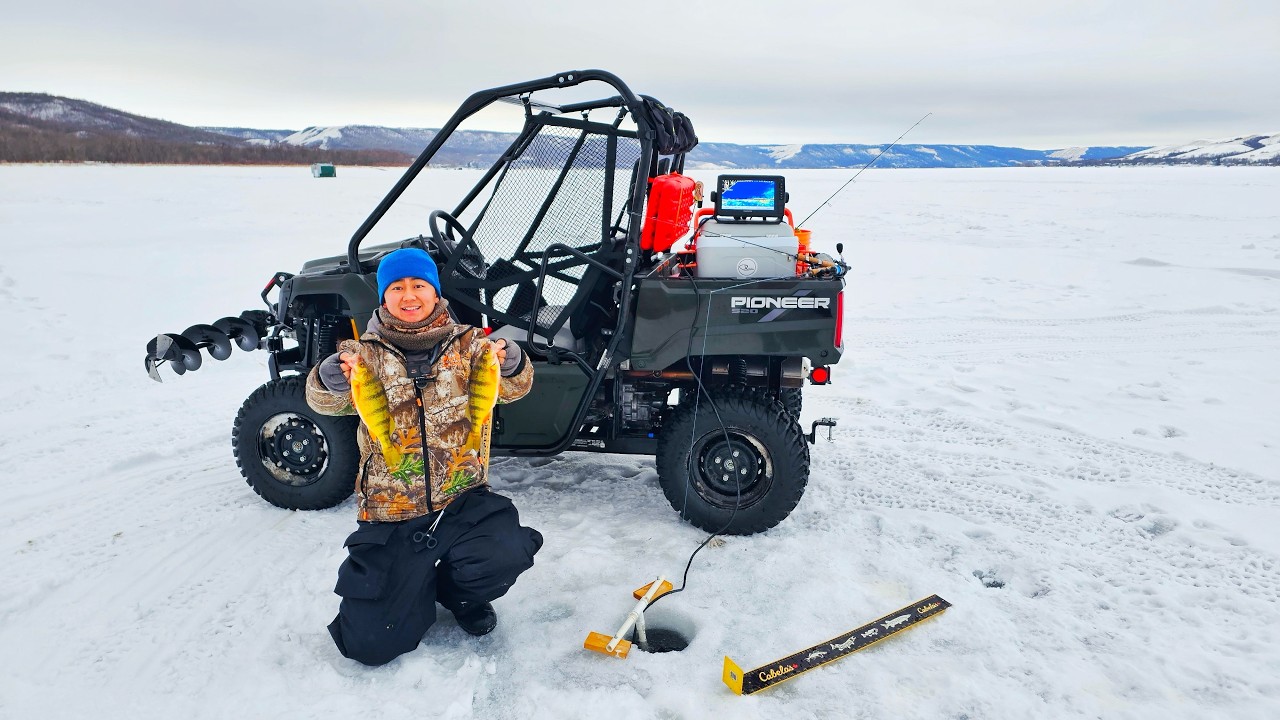 Honda Pioneer 520 Deep Snow Run & Gun для ловли окуня-приманки в глубоком снегу.