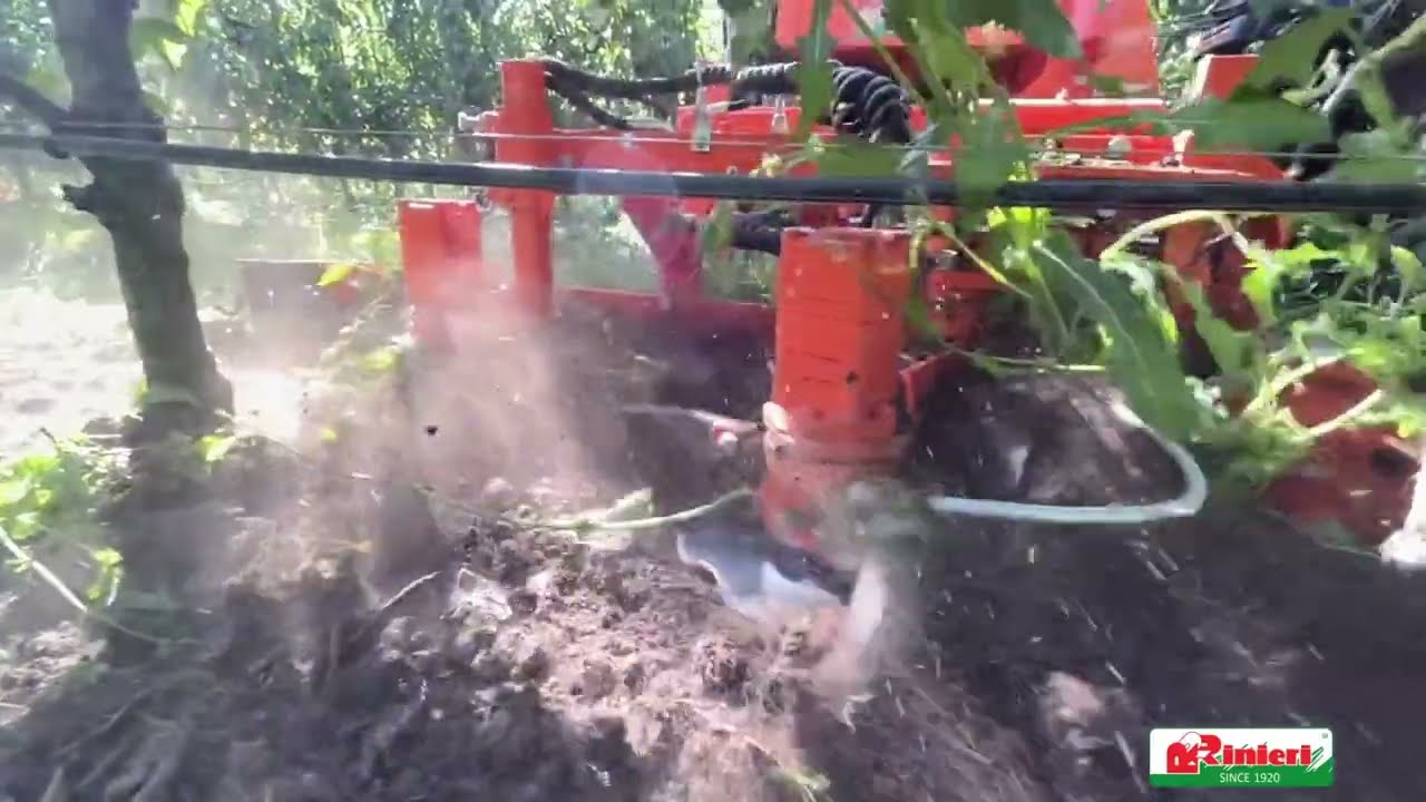 Rinieri Turbo PRT boomgaard  rotorschoffel