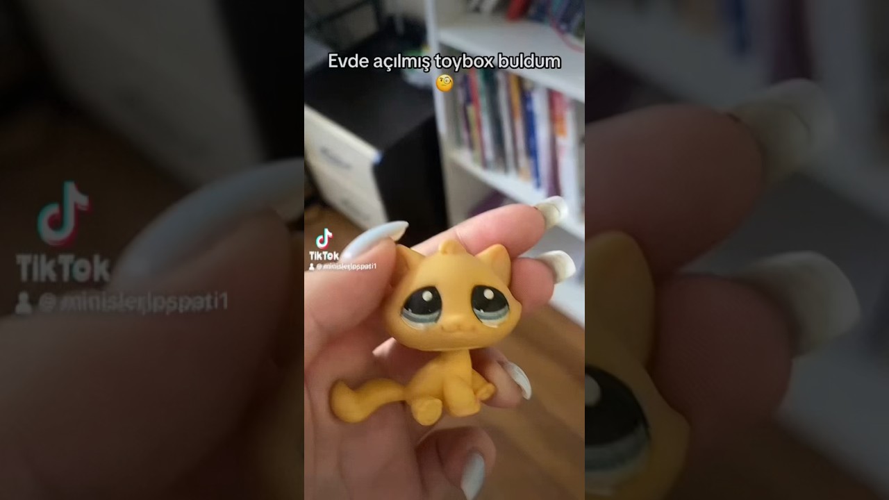Evde açılmış toybox buldum 🤔 