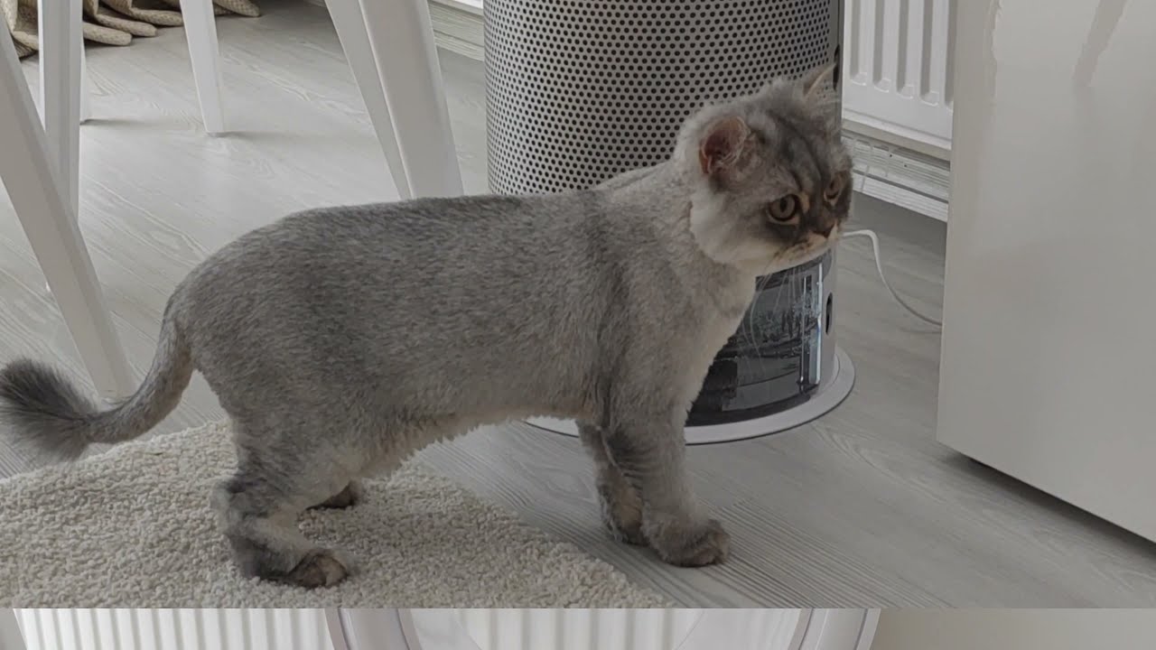 Dyson Pure Humidify+Cool™ Hava Temizleme Cihazı Aldık