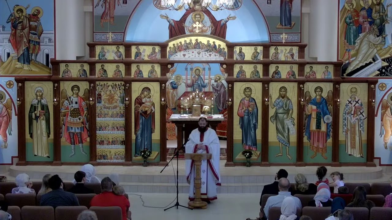 Fr. Andrew Damick -- By Grace You Are Saved -- 11/28/2021
