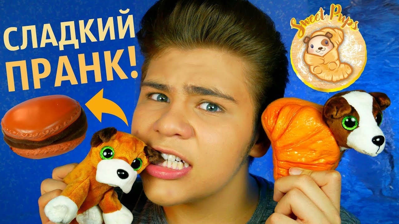 СЪЕДОБНЫЕ СОБАЧКИ? 🐶 Sweet Pet Surprise / Очаровательные плюшевые щенки в аппетитных 🥐🍫#SWEETPUPS