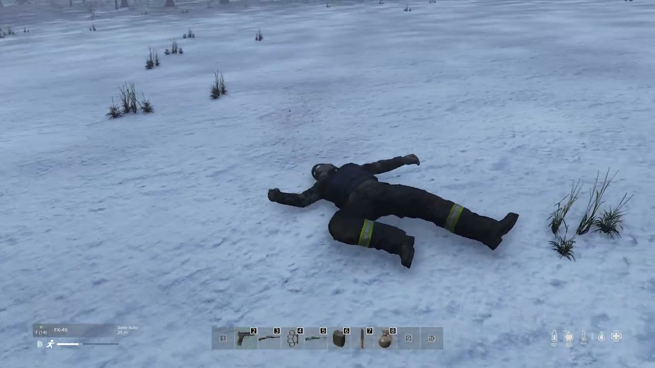 DayZ- A few team wipes on winter Chernarus