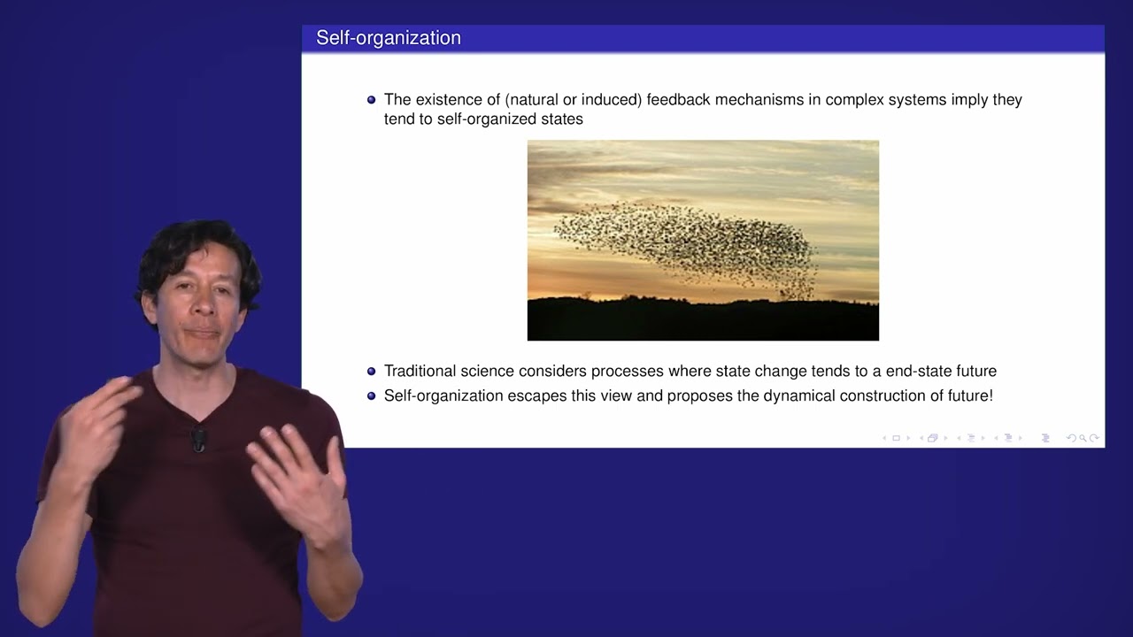 Module 8 - Features of Complex Adaptive Systems: Self organization