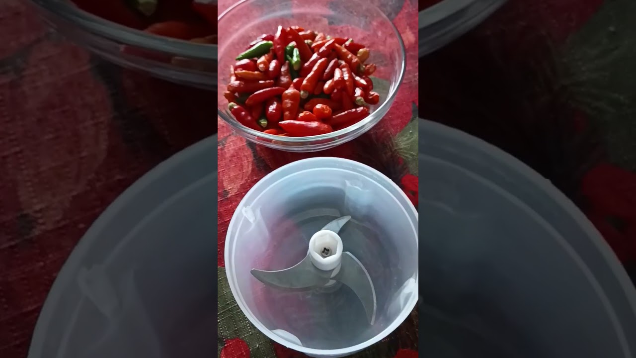 USB Mini Food Processor