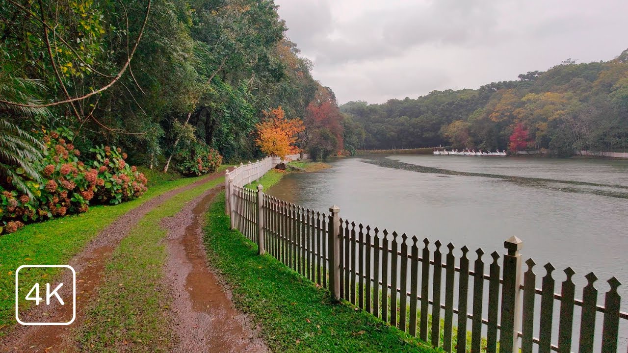 Walking in the Rain in Southern Brazil, Rain and City Sounds ASMR