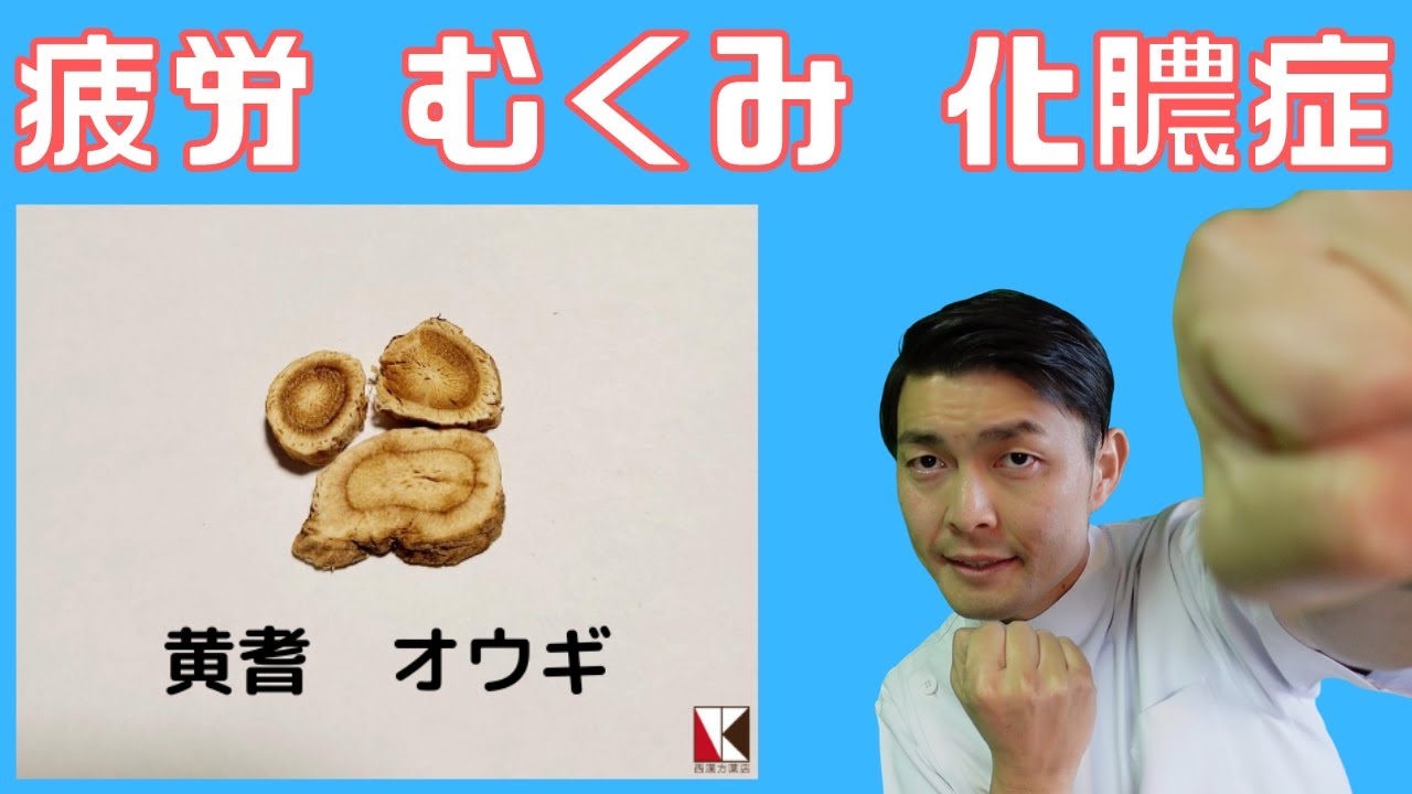 【漢方】黄耆（オウギ）１分で分かる　生薬解説