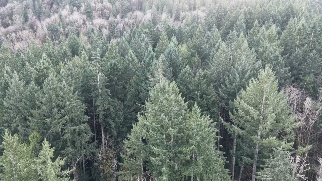 Mini Pro 5 - Learning the controls - Mciver State Park