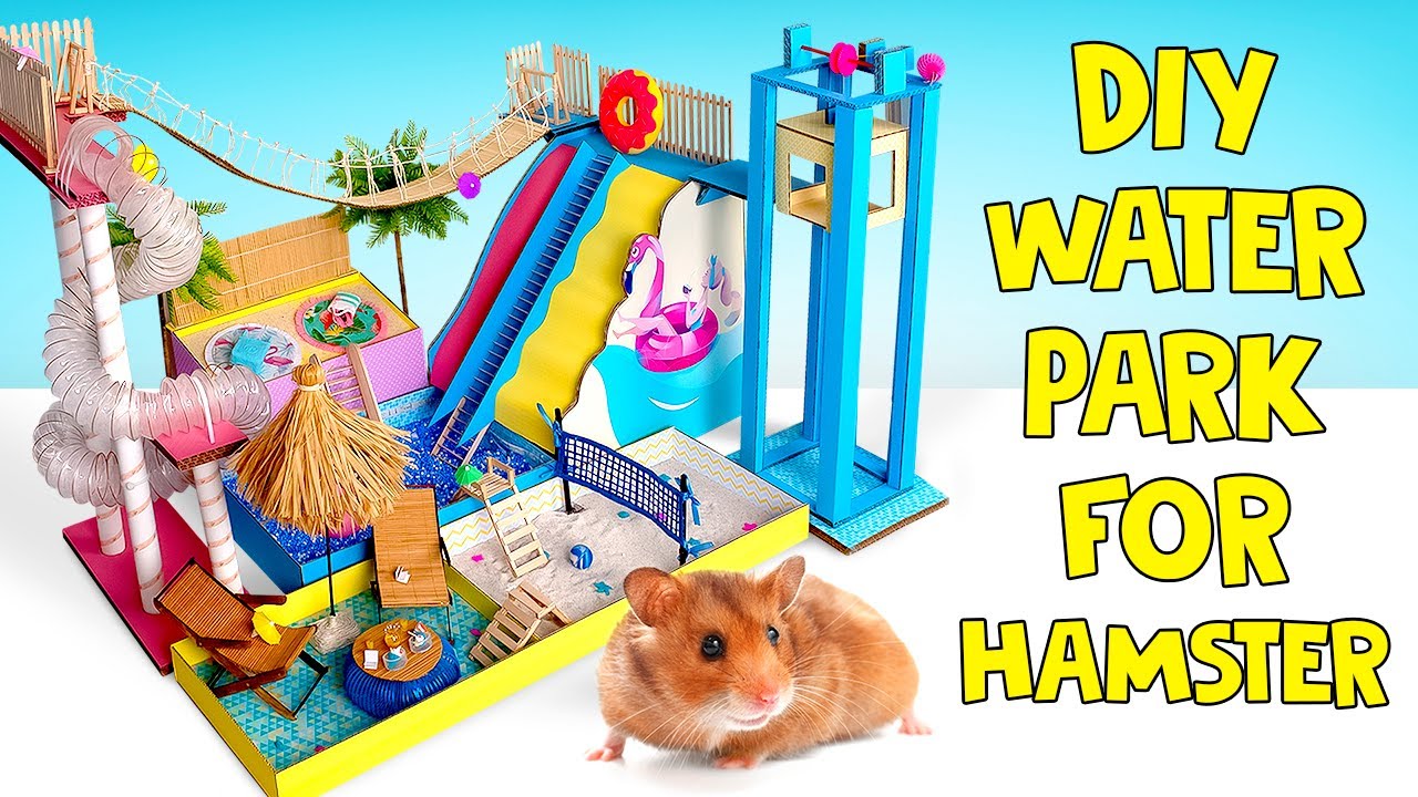 REAL HAMSTER JOYS || Cardboard Water Park With Entertainment!