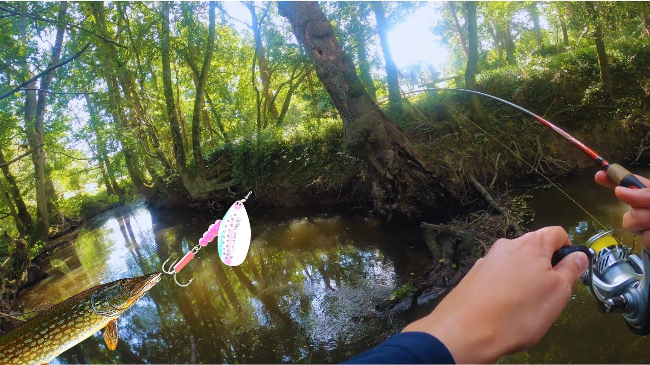 PÊCHE EN RIVIÈRE AVEC UN LEURRE QUI N'EST PAS À NÉGLIGER !