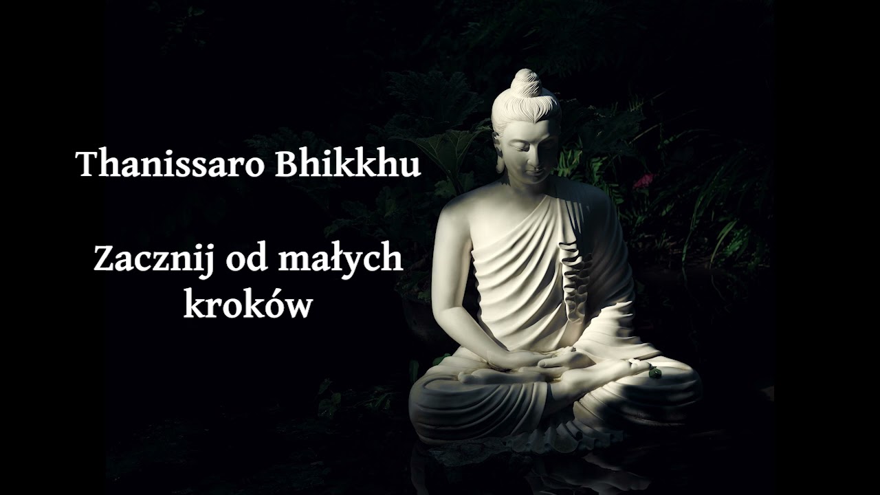 Zacznij od małych kroków - Thanissaro Bhikkhu [LEKTOR PL]