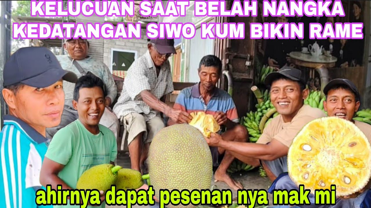 DAPAT KESUKAAN NYA MAK MI & KELUCUANNYA BELAH NANGKA BERSAMA SEMUANYA