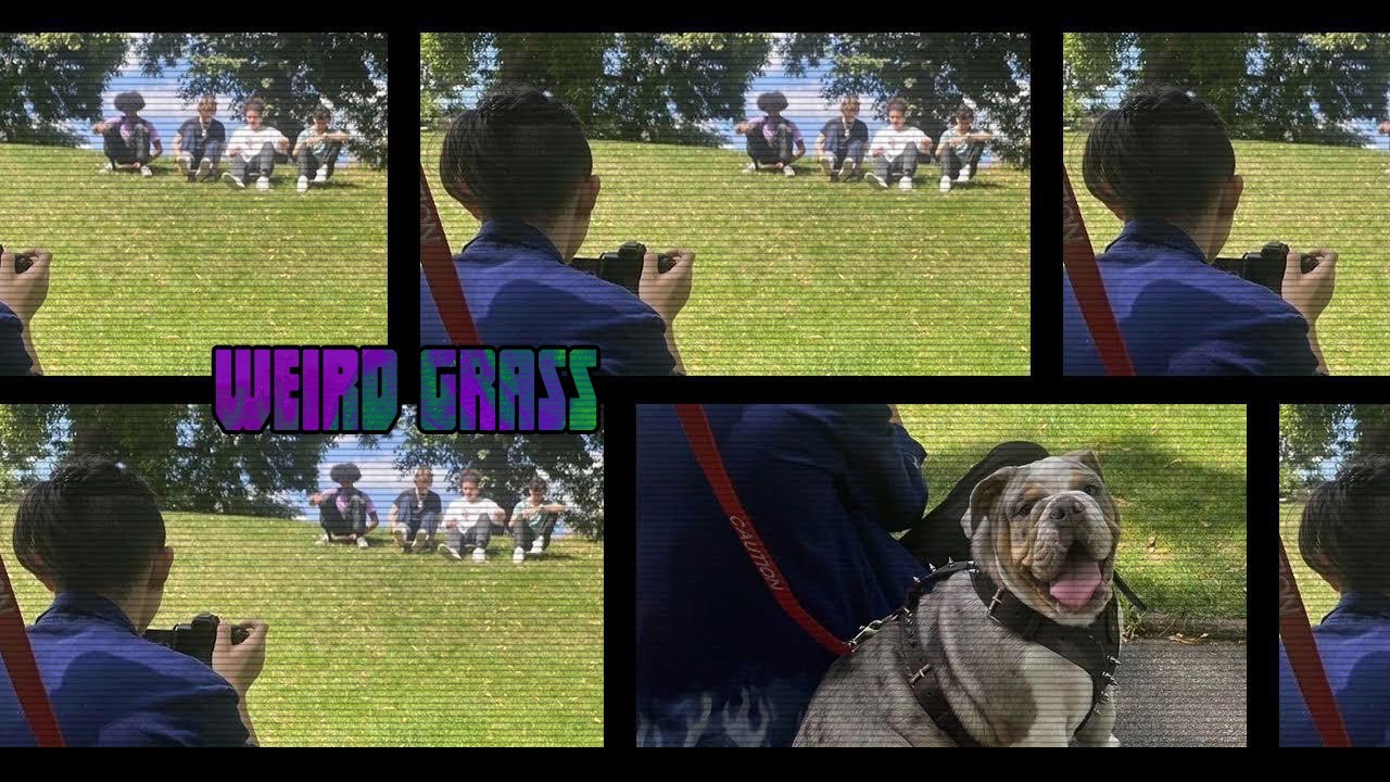 Weird Grass- THE APEHOUSE (MUSIC VIDEO)