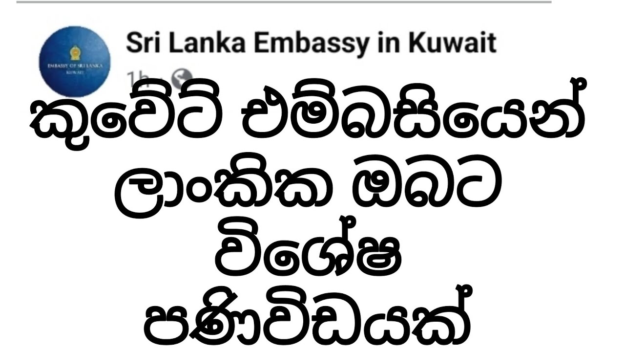 කුවේට් එම්බසියෙන් ලාංකික ඔබට විශේෂ පණිවියක්. #kuwait #kuwaitnews #nilantha_vlogs 