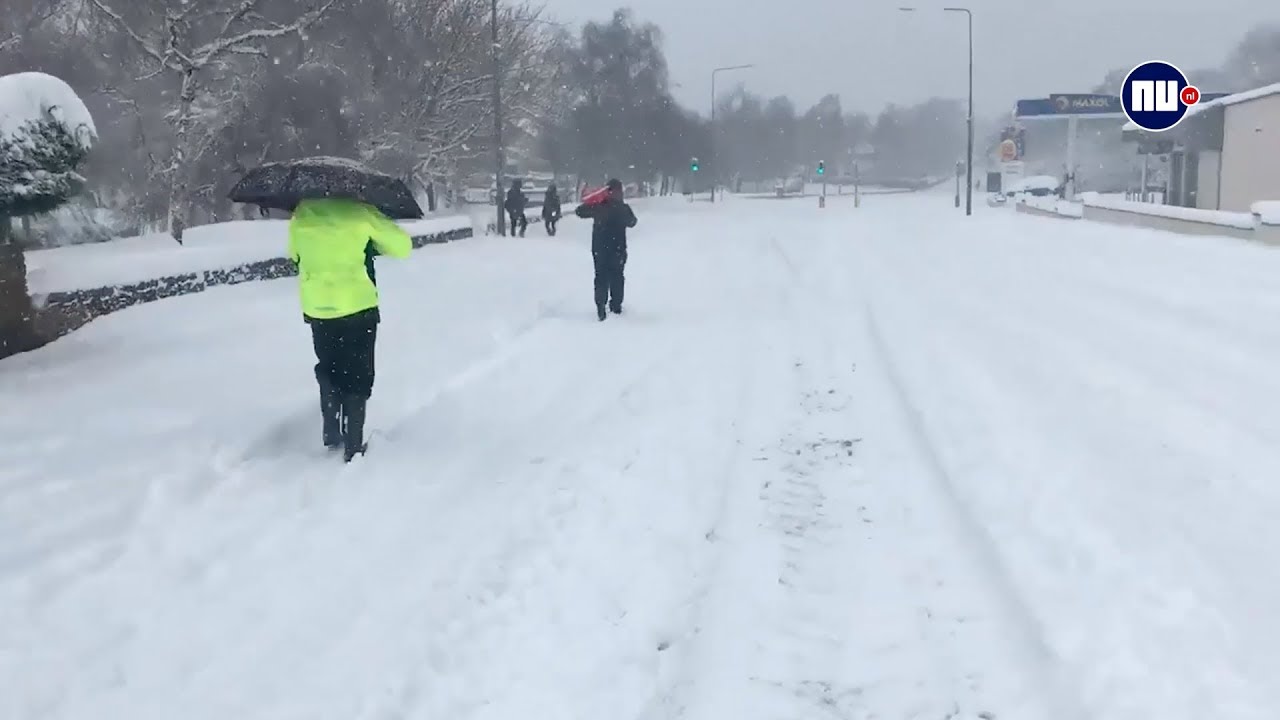 Dik pak sneeuw legt openbaar leven in Ierland plat