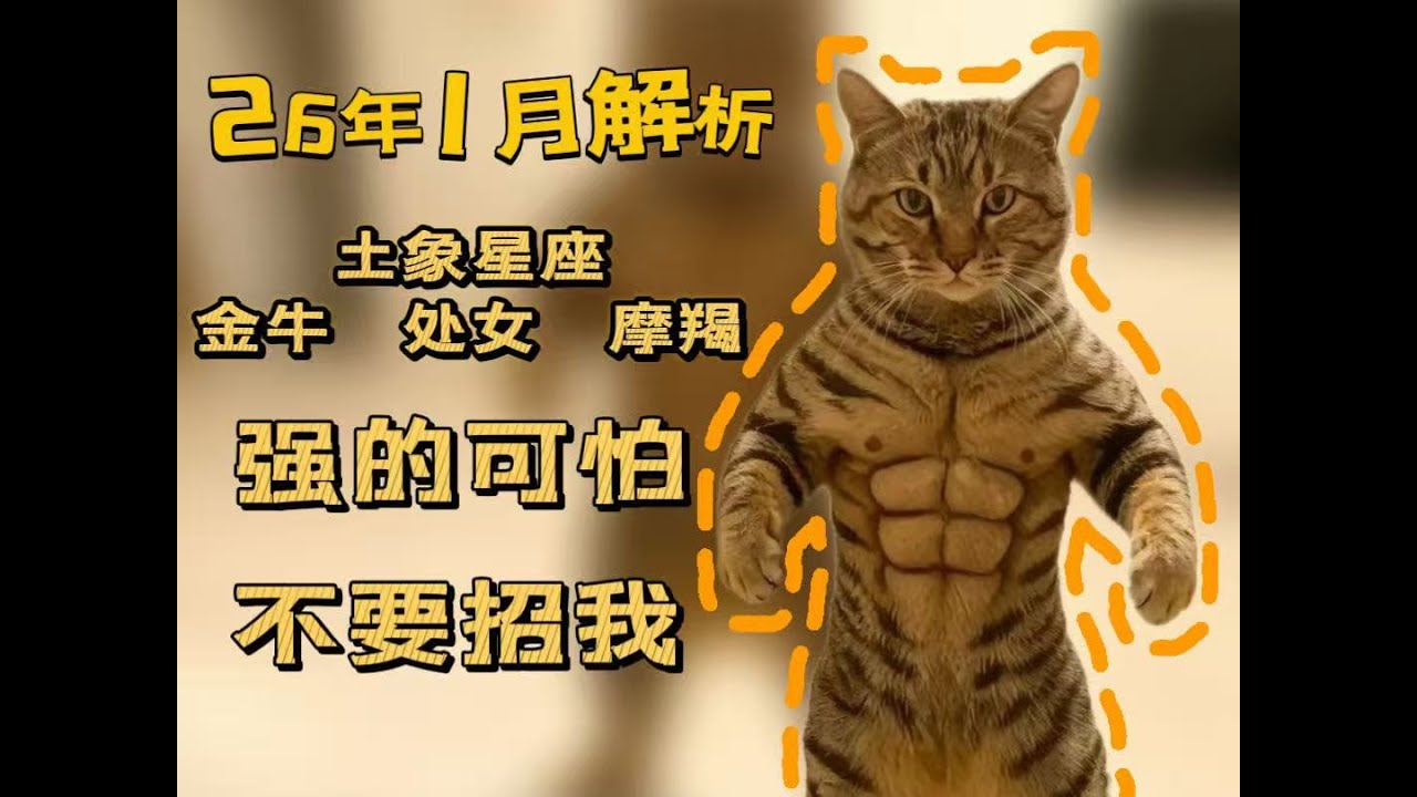 土象星座｜2026年1月星座运势｜金牛座｜处女座｜摩羯座｜事业与拳头 蓄力
