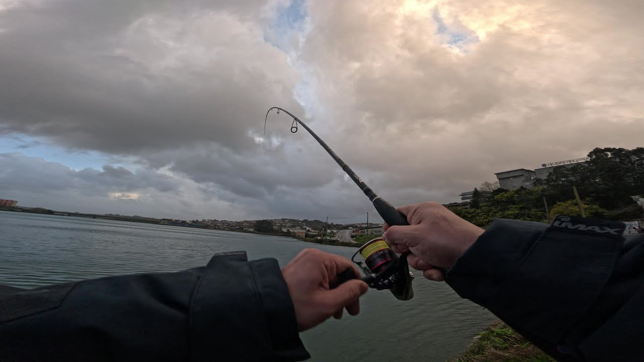 ESCAPANDO DEL TEMPORAL!! LUBINAS EN LA RIA?? ( A CORUÑA )