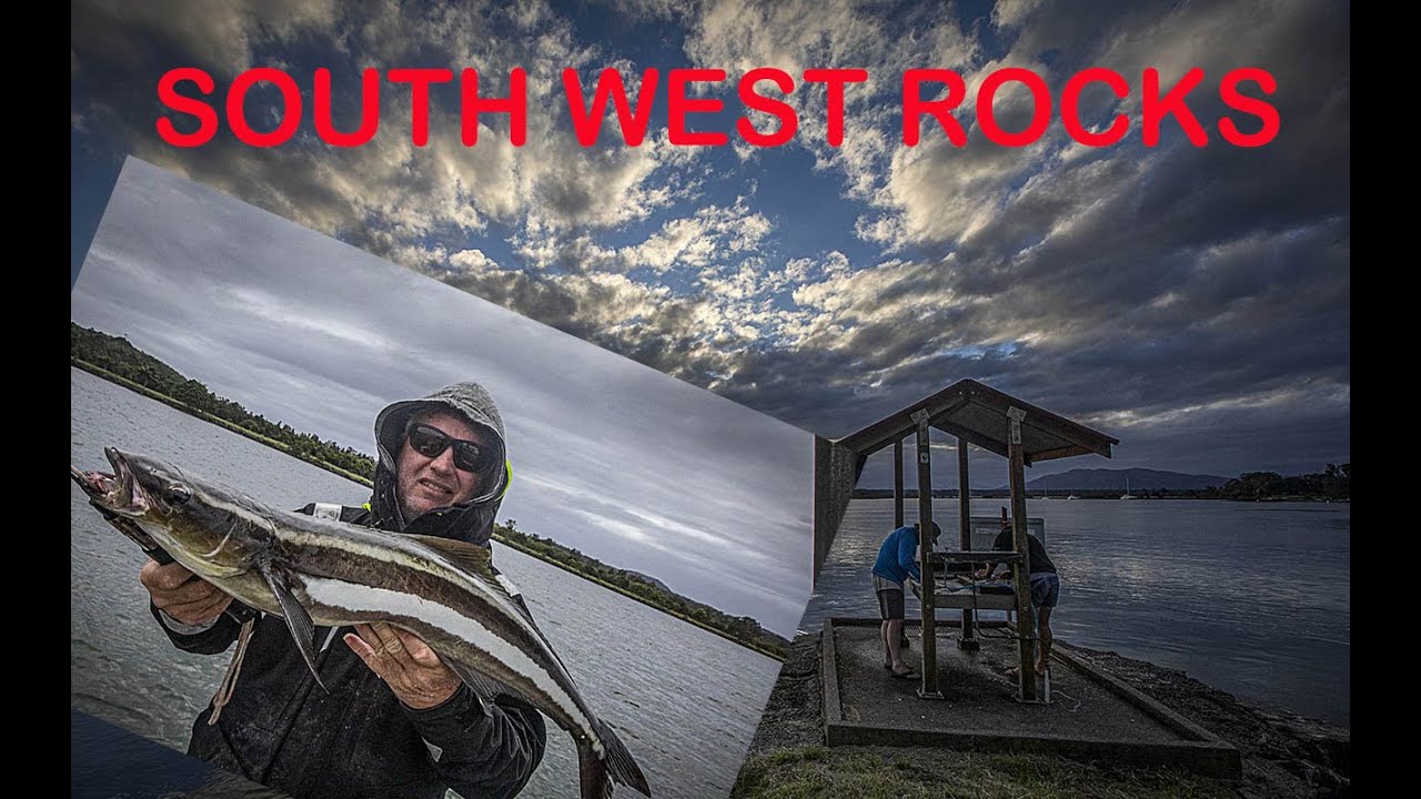 South West Rocks Mud Crabs, Cobia and Mackerel