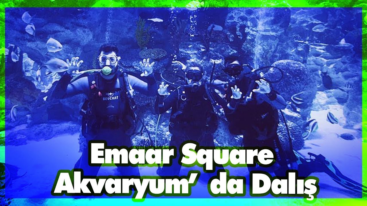 Emaar Square Akvaryum'da Tüplü Dalış | Deneme Tahtası